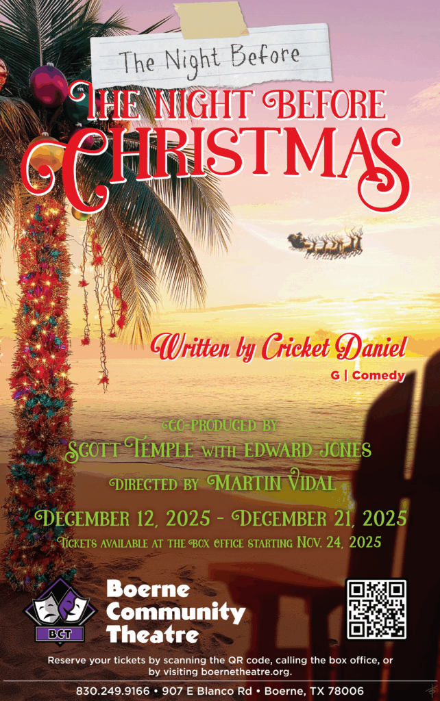 Show information for Night before the night before Christmas with Palm tree wrapped with Christmas lights in the background